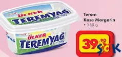 TEREM KASE MARGARİN 250 G